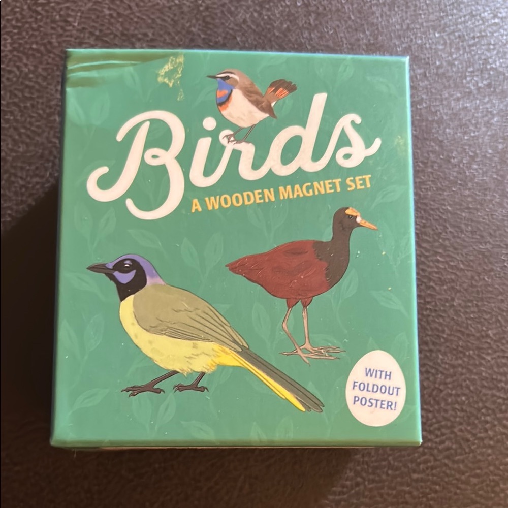 Birds a Wooden Magnet Set